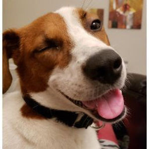 Meet your Posher, Jon